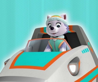 Paw Patrol, la Pat'Patrouille - Le fantôme de la mare aux grenouilles