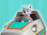 Paw Patrol, la Pat'Patrouille Paw Patrol, la Pat'Patrouille
