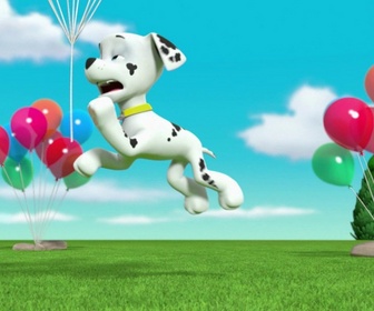 Paw Patrol, la Pat'Patrouille - Le gâteau de Jake