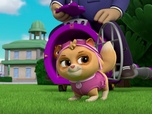 Paw Patrol, la Pat'Patrouille