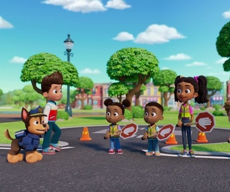 Paw Patrol, la Pat'Patrouille - Mission Détectives : Attention, les poulettes !