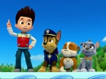 Paw Patrol, la Pat'Patrouille Paw Patrol, la Pat'Patrouille