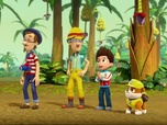 Paw Patrol, la Pat'Patrouille