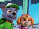 Paw Patrol, la Pat'Patrouille