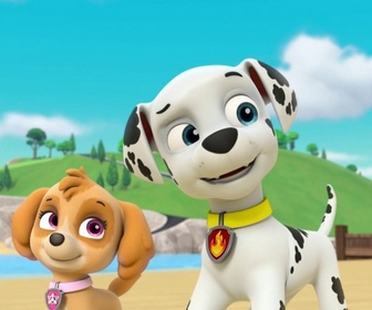 Paw Patrol, la Pat'Patrouille - L'Air Patrouilleur - 26'