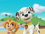 Paw Patrol, la Pat'Patrouille