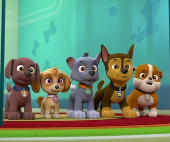 Paw Patrol, la Pat'Patrouille - Un petit déjeuner mouvementé