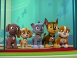 Paw Patrol, la Pat'Patrouille Paw Patrol, la Pat'Patrouille