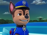 Paw Patrol, la Pat'Patrouille
