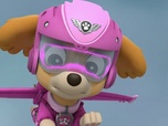 Paw Patrol, la Pat'Patrouille