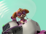 Paw Patrol, la Pat'Patrouille Paw Patrol, la Pat'Patrouille