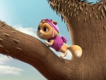 Paw Patrol, la Pat'Patrouille