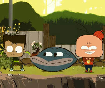 Molusco - 18/11/2025