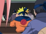 Naruto Naruto