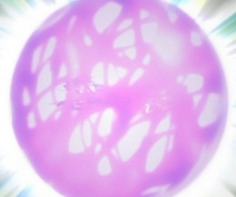 Naruto - S6 E6 - Conclusion sous une pluie de larmes