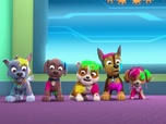 Paw Patrol, la Pat'Patrouille Paw Patrol, la Pat'Patrouille