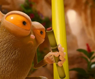 Les as de la jungle à la rescousse - 15/09/2020