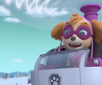 Paw Patrol, la Pat'Patrouille - Le match de hockey